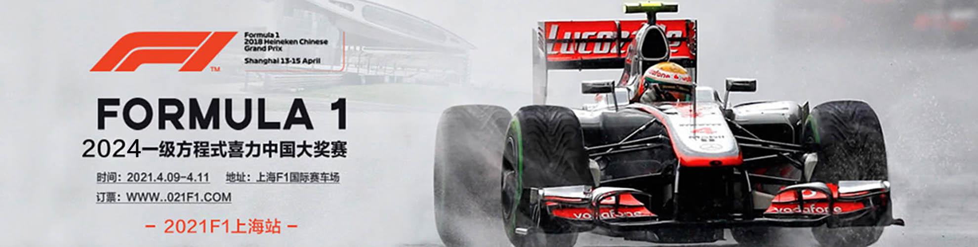 Carrera circuit de course - Go Formula Racing Track Demo & Review Formule 1  circuit de course 